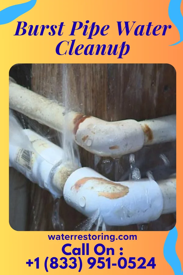 Burst Pipe Water Cleanup in Vassar College, NY