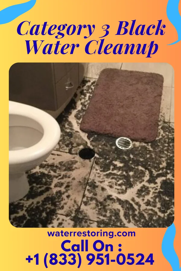 Category 3 Black Water Cleanup in Vassar College, NY