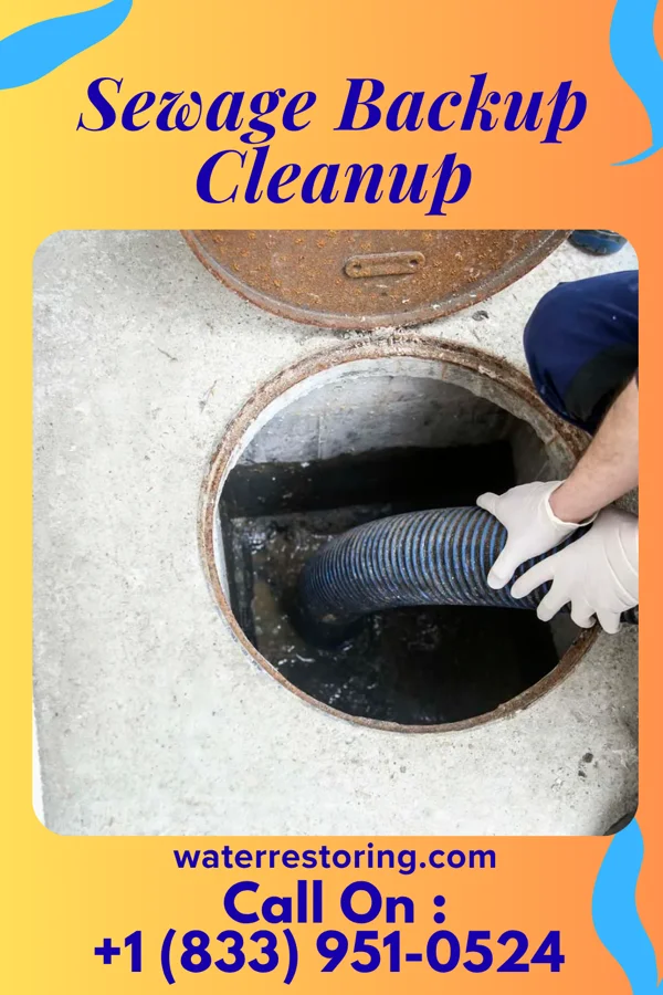 Sewage Backup Cleanup in Vassar College, NY